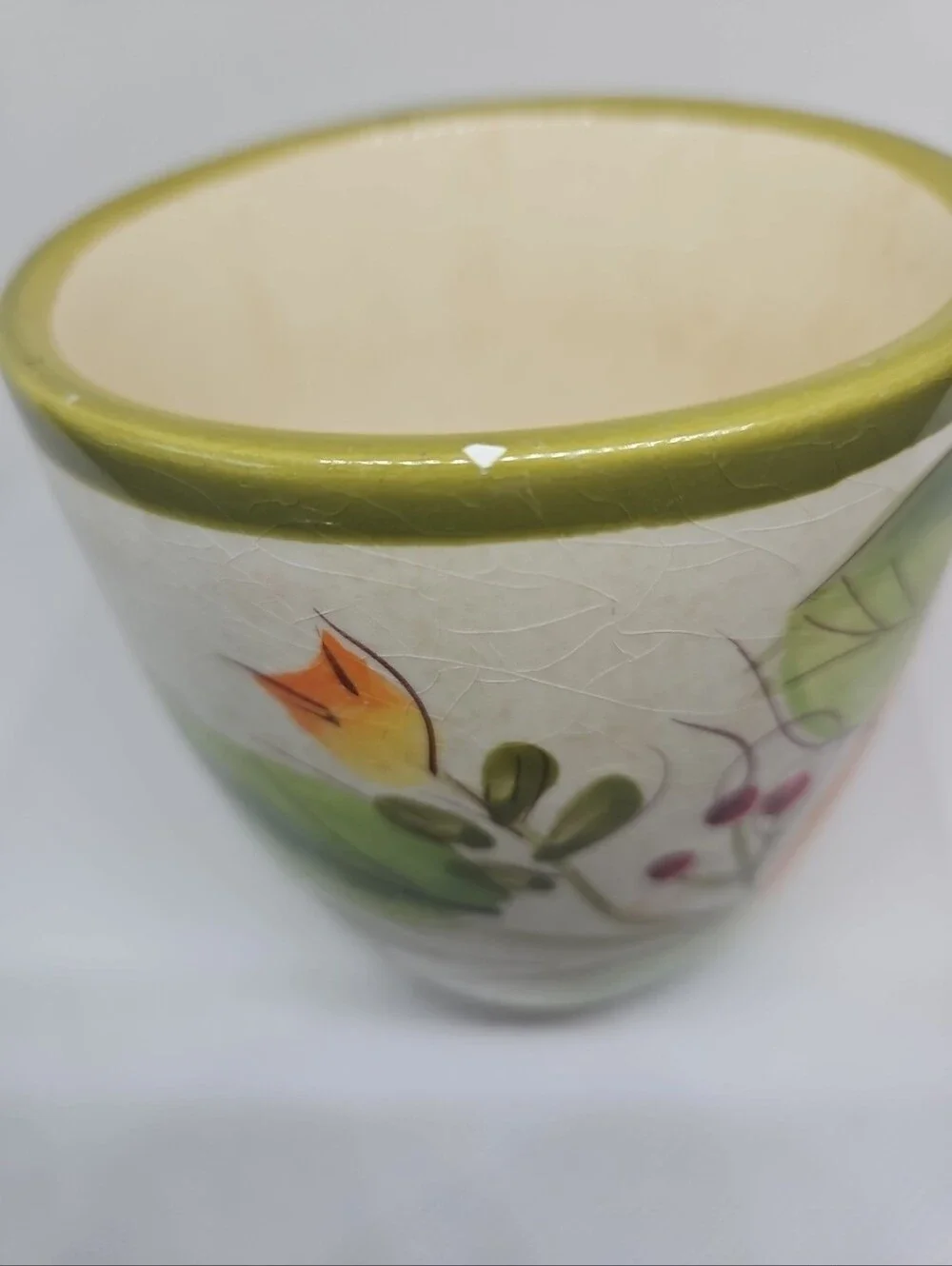 Pier 1 Imports Olivia 16oz Earthenware Hand Painted Poppy Flowers Mug